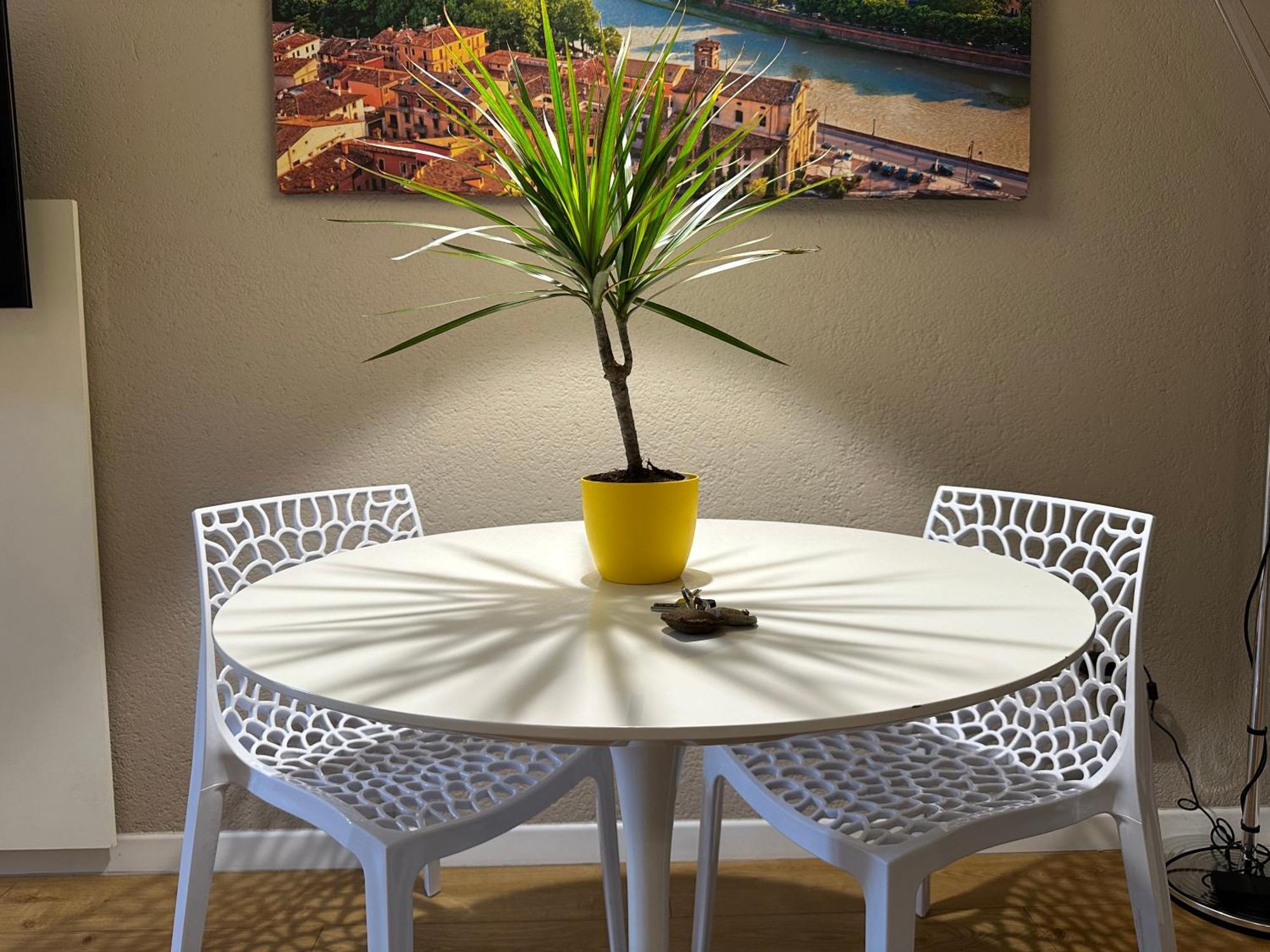 Domus Suites Verona, Verona